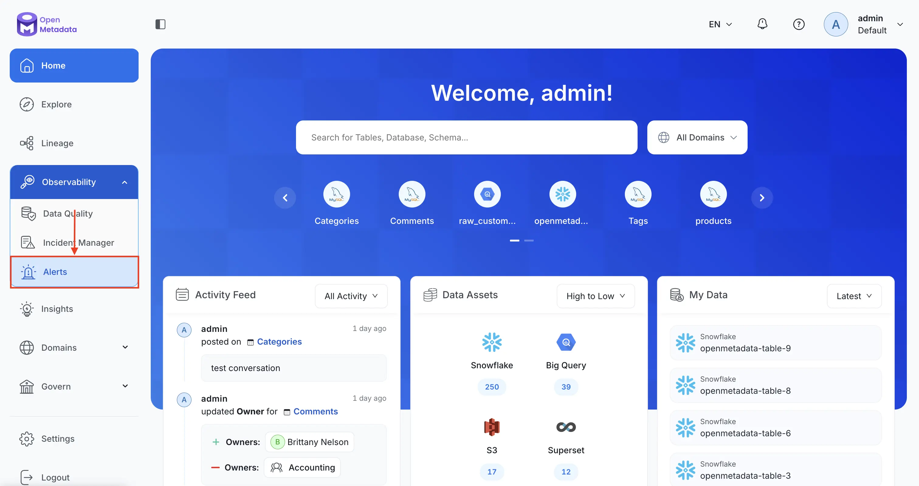 Navigate to Observability Alerts